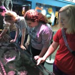 Group of people looking at an exhibit within Ripley's Aquarium of the Smokies
