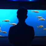 A person silhouetted in front of an aquarium with fish swimming toward the right