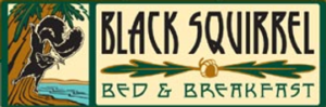Black Squirrel Bed & Breakfast logo